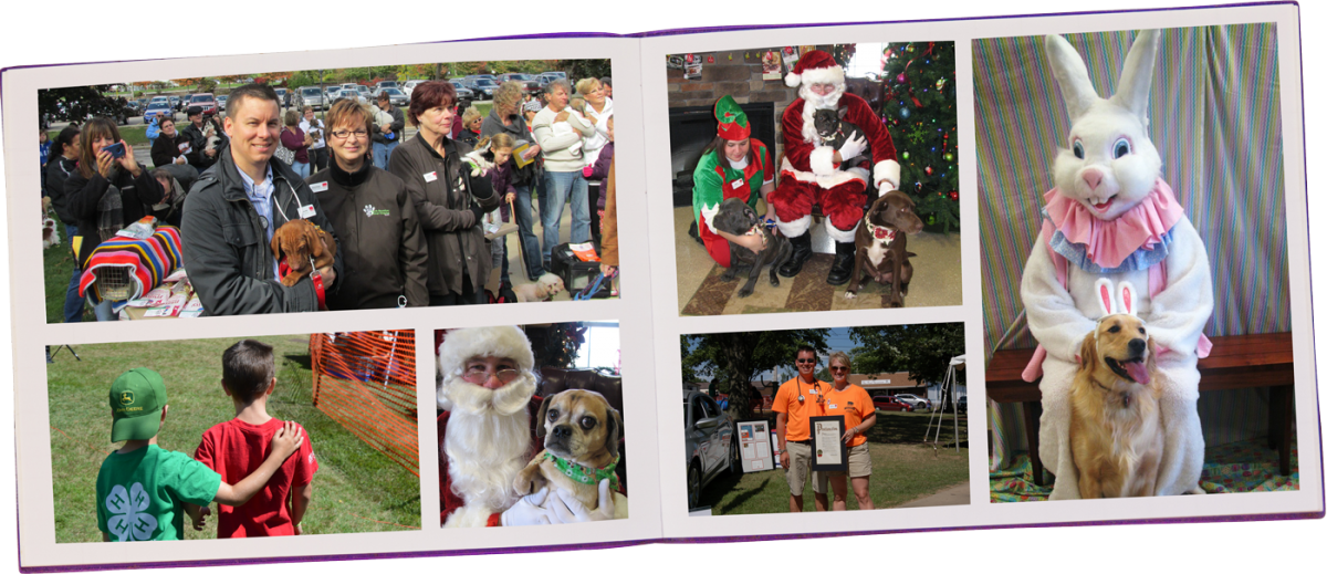 Annual Events Vet In North Royalton North Royalton AH